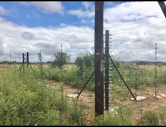 8HA FARM FOR SALE IN DEBRON